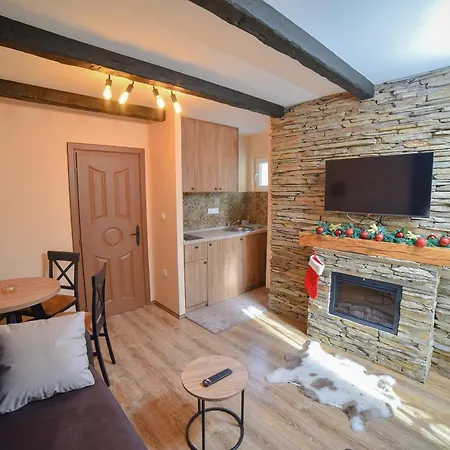 Apartments Stojic Zlatibor Oda fotoğraf